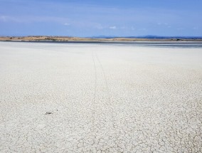 干涸的湖泊和干渴的树木:在遭受干旱袭击的希腊，水车正在维持庄稼的生存